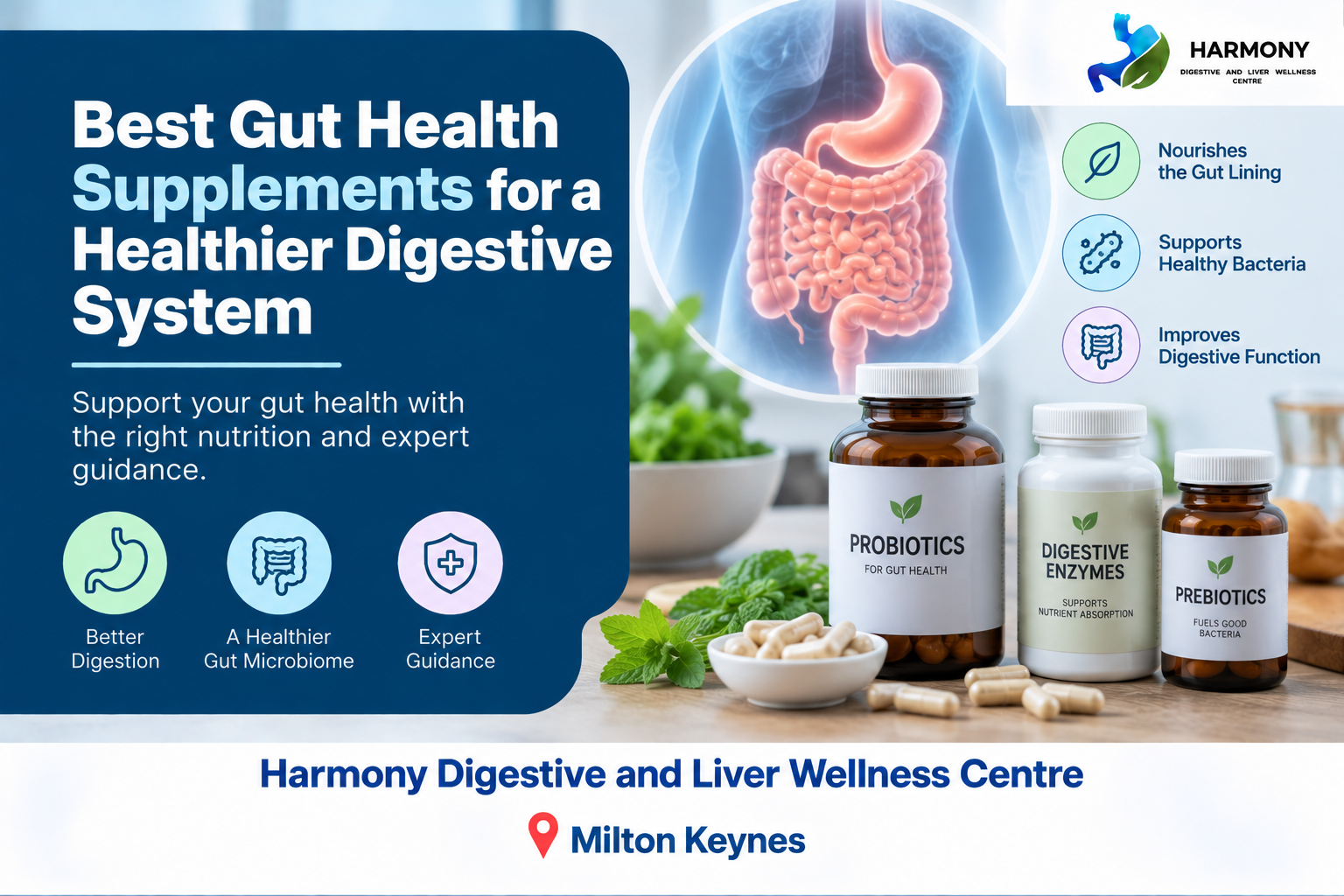 Best Gut Health Supplements for a Healthier Digestive System