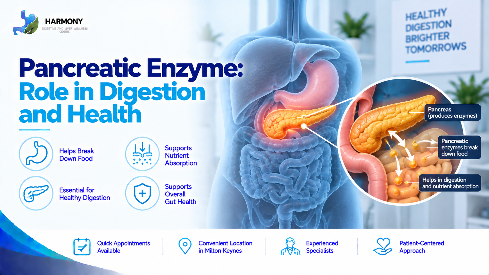Pancreatic Enzyme: Role in Digestion and Health