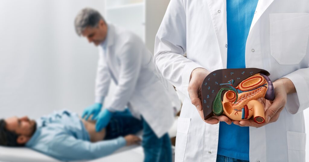 Human liver disease, diagnosis and treatment. Doctor gastroenterologist showing liver anatomical