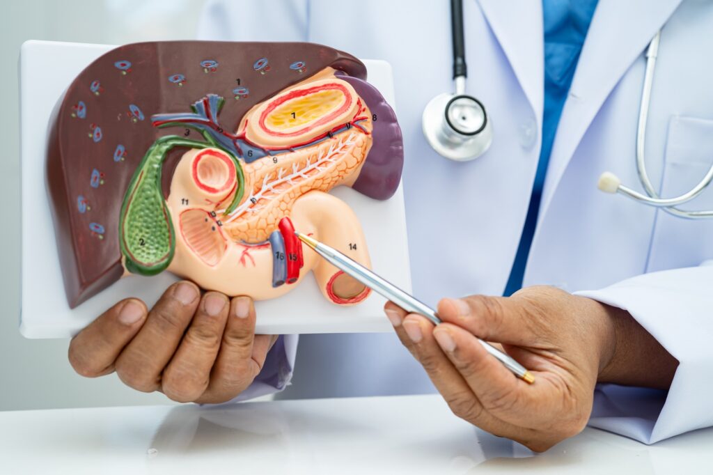 Expert Solutions for Digestive Issues and Wellness Care