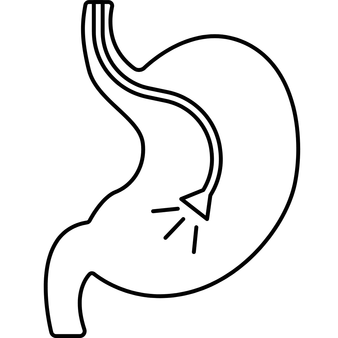 Gastronomy Graphic Image